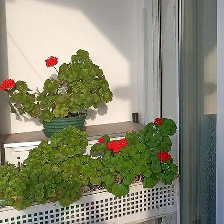 Appartement Spacious For Families